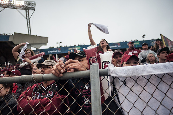 Citrus Bowl Photos - 2014