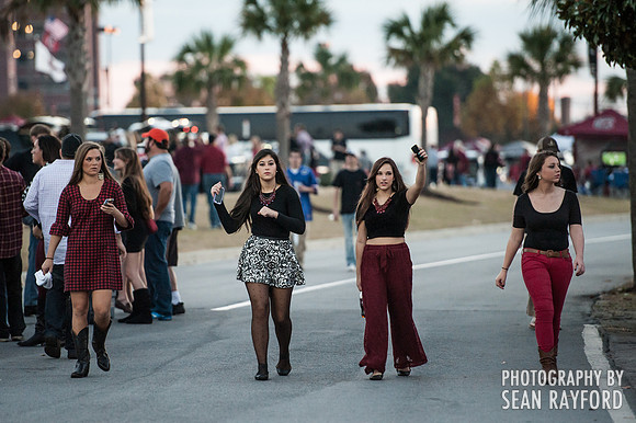 South Carolina Fan Photos
