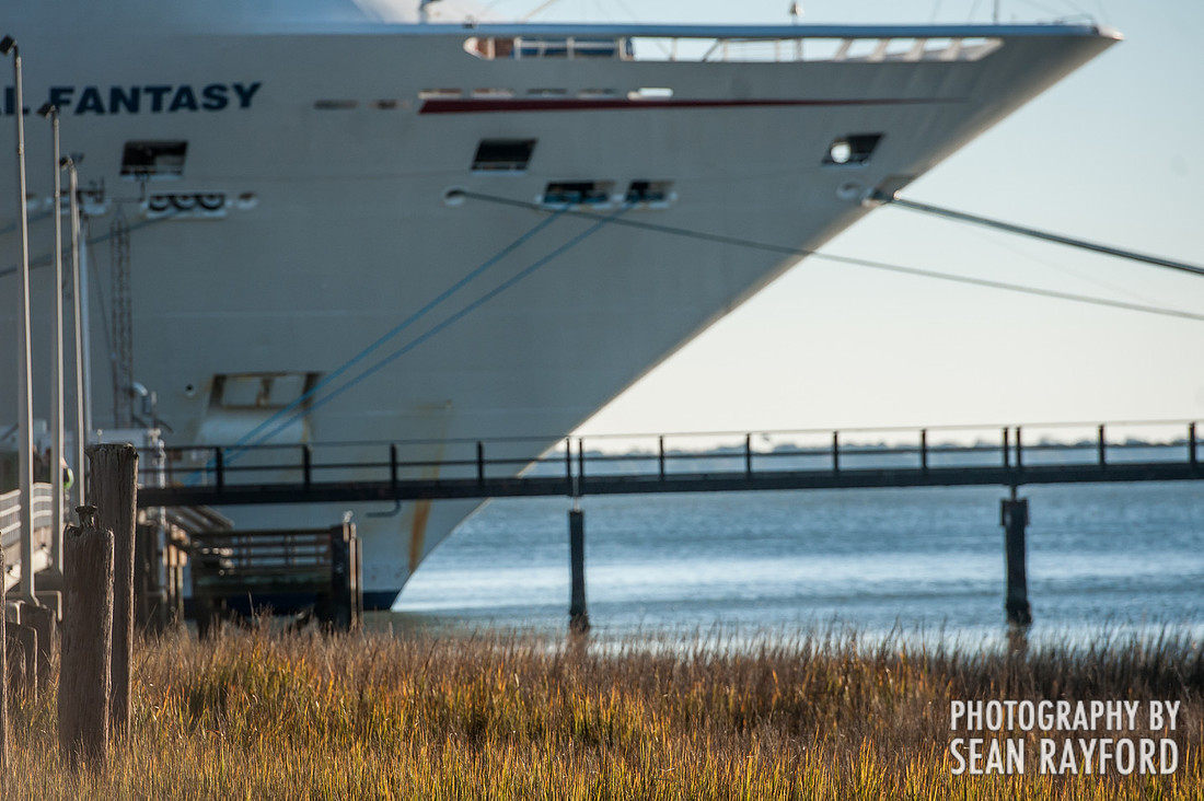Charleston SC Phography