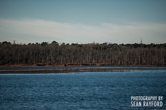 South Carolina Landscape Photography