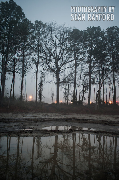 Fog in Columbia SC