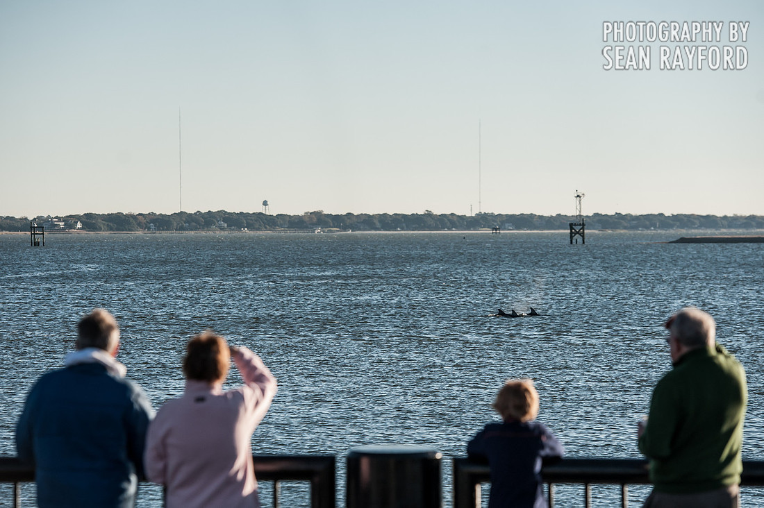 Charleston SC Phography
