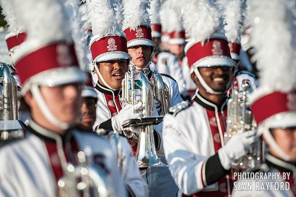 South Carolina Gamecock Fans