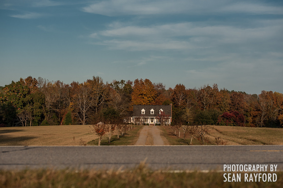 South Carolina Cotton Photos