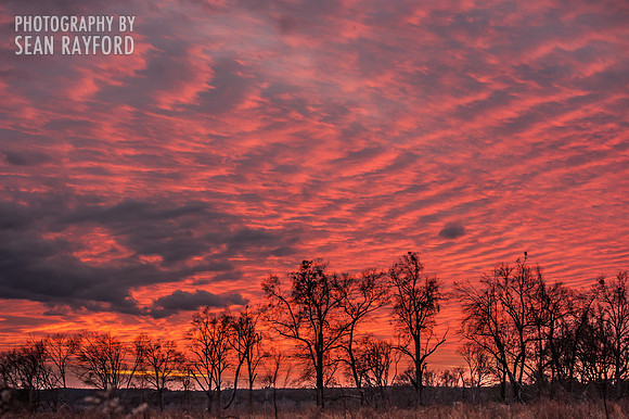 South Carolina Photography