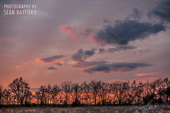 South Carolina Photography