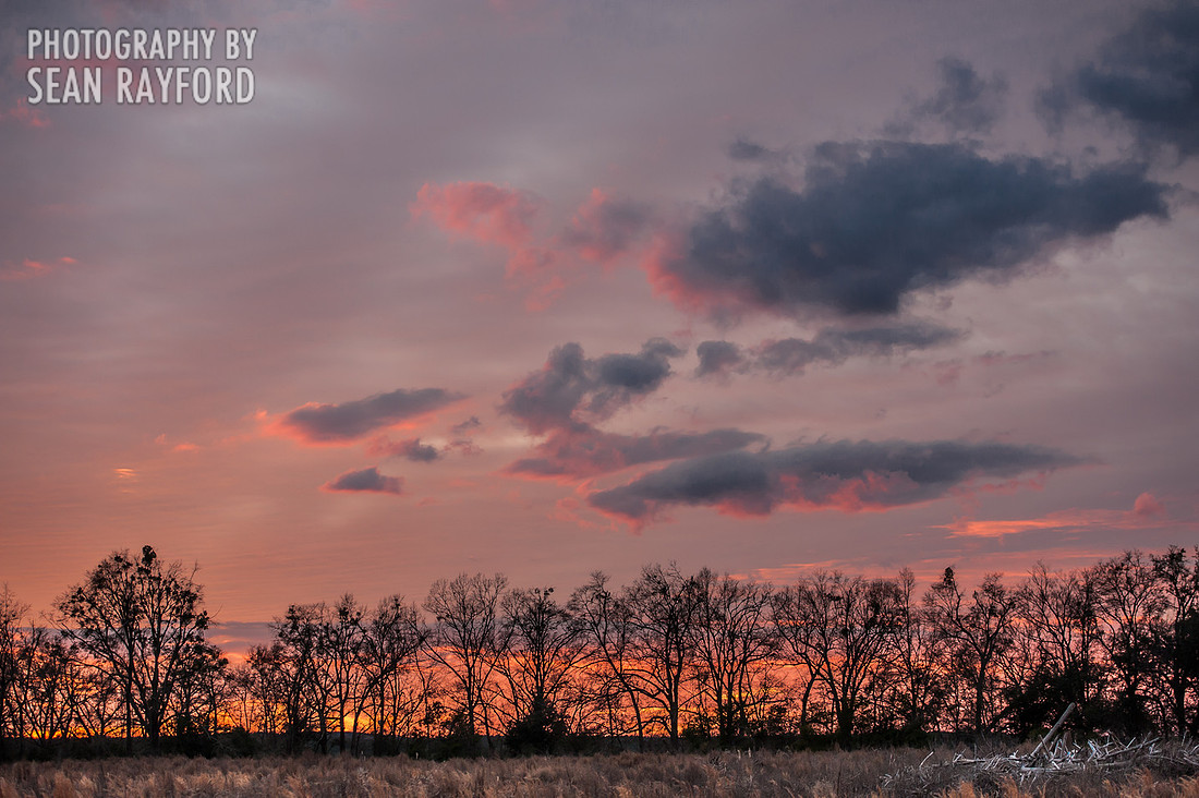 South Carolina Photography