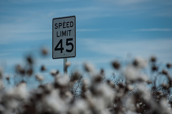 Cotton - South Carolina