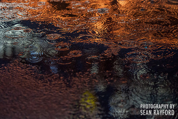 South Carolina State Fair Photos - Rainy Night