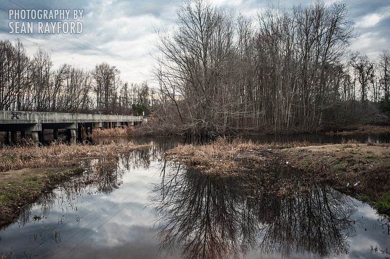 South Carolina Photography