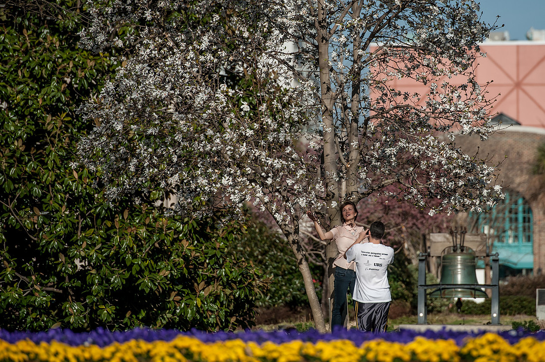 Columbia, SC. March 2014 by South Carolina photographer Sean Rayford
