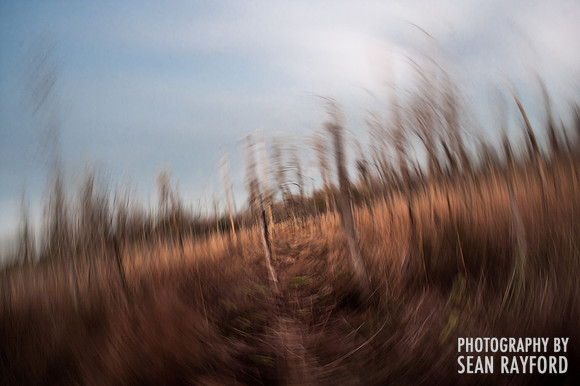 South Carolina Photos