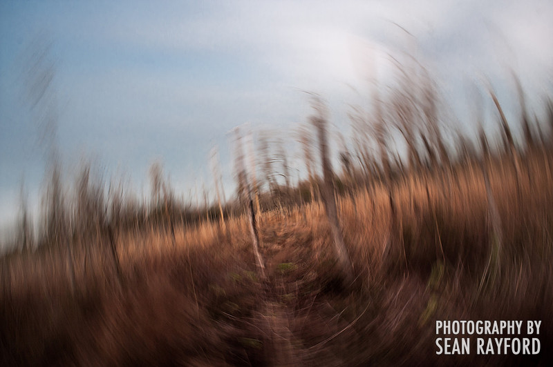 South Carolina Photos