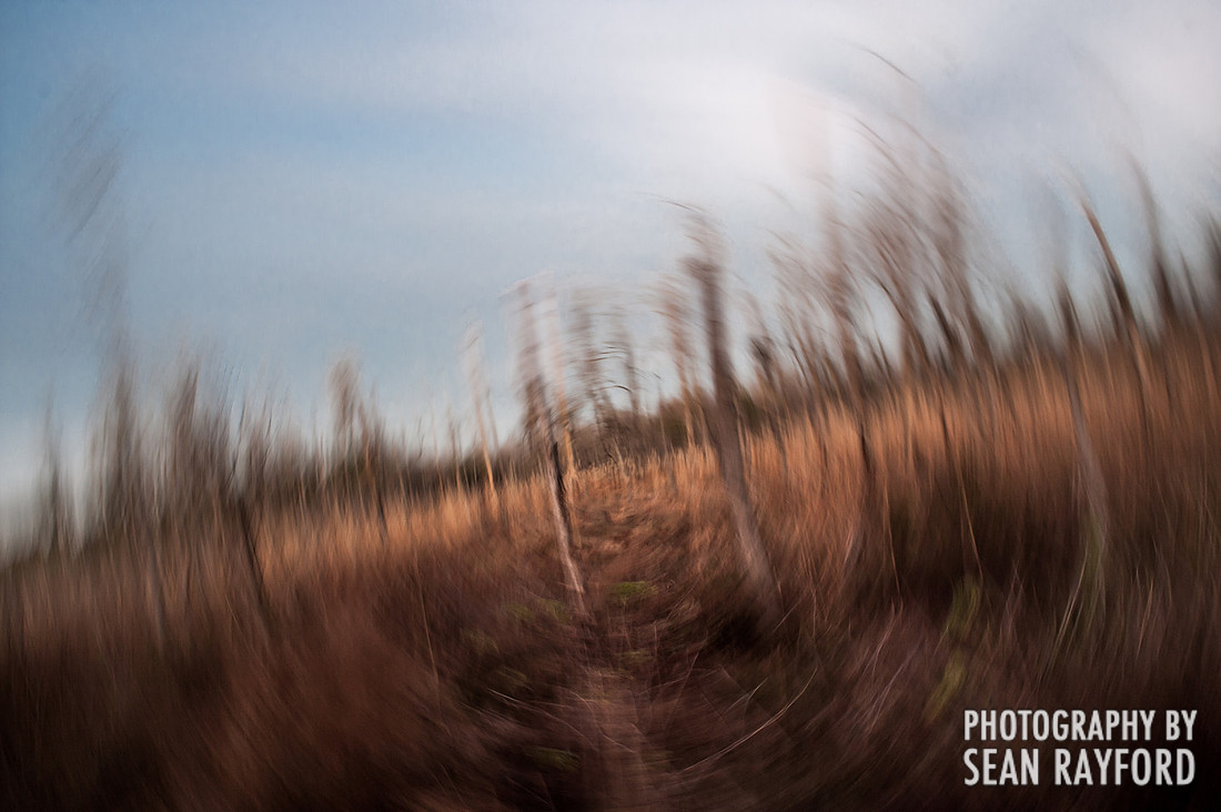 South Carolina Photos