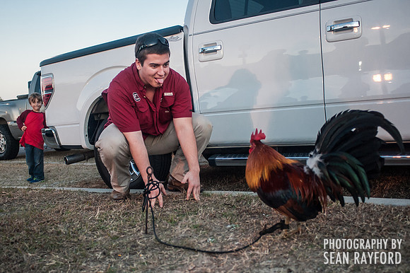 South Carolina Fan Photos