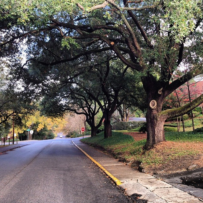 Columbia SC Photos