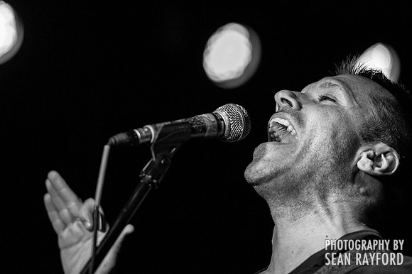 Fighting Jamesons Concert Photography
