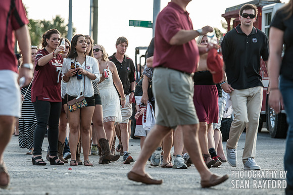 South Carolina Gamecock Fans