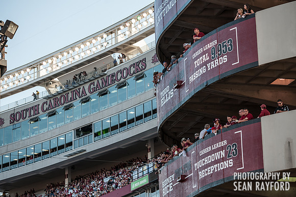 South Carolina Gamecock Fans