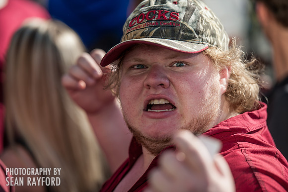 College Football Fans - South Carolina