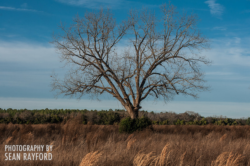South Carolina Photos