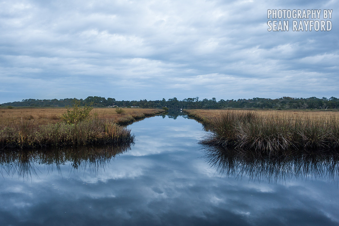 Florida Photos