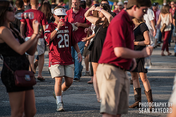 South Carolina Gamecock Fans