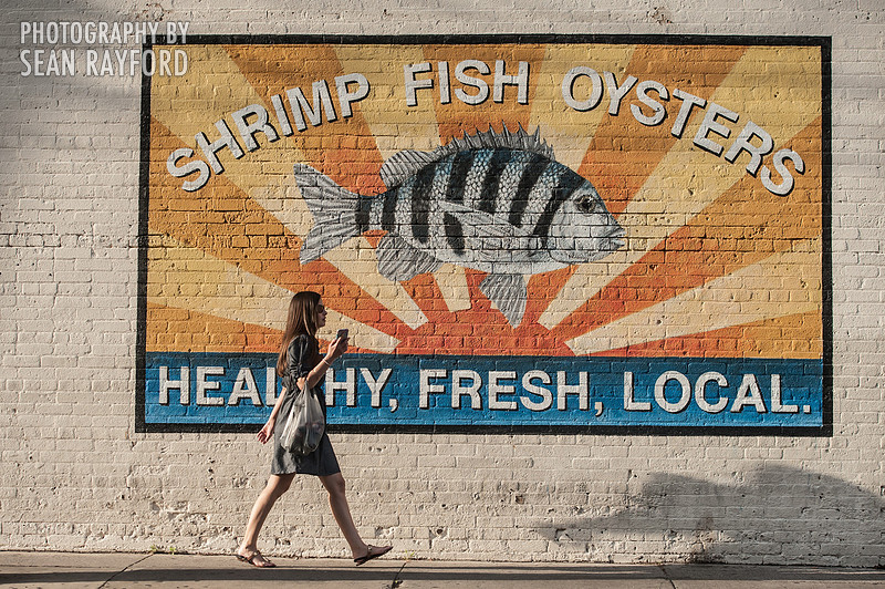 Charleston SC Photos