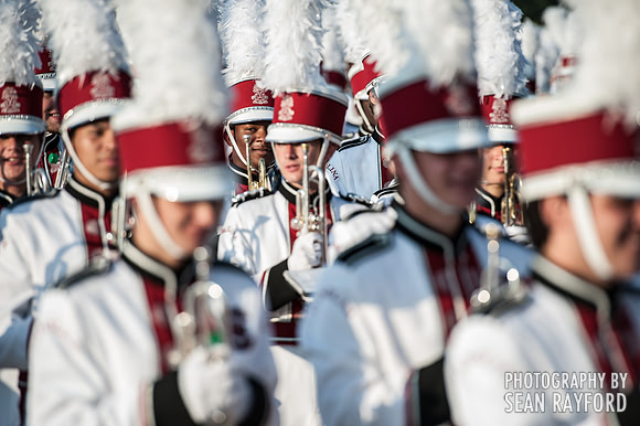 South Carolina Gamecock Fans